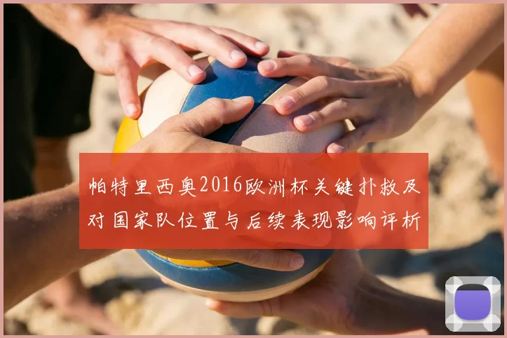 帕特里西奥2016欧洲杯关键扑救及对国家队位置与后续表现影响评析