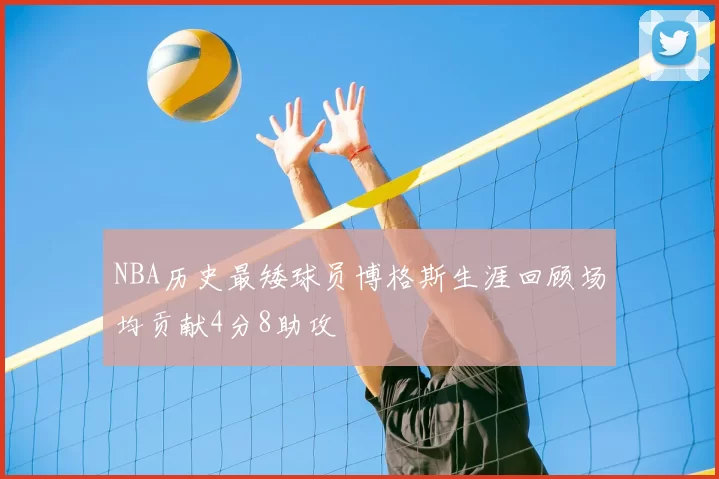 NBA历史最矮球员博格斯生涯回顾场均贡献4分8助攻