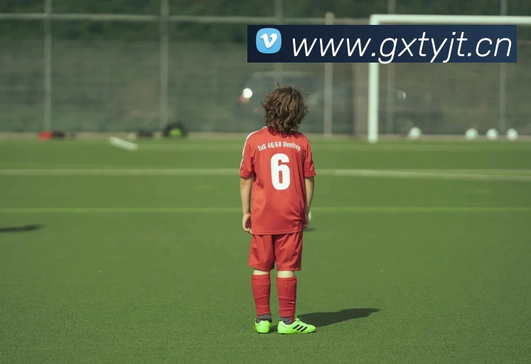 App Interface Preview